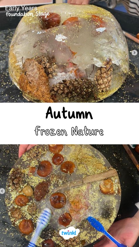 Baby Autumn Activities, Montessori Classroom Activities, Autumn Eyfs Activities Preschool, Early Years Activities Under 2, Natural Tuff Tray Ideas, Harvest Eyfs Activities, Autumn Ideas Eyfs, Autumn Water Tray Ideas, Outdoor Ideas Eyfs