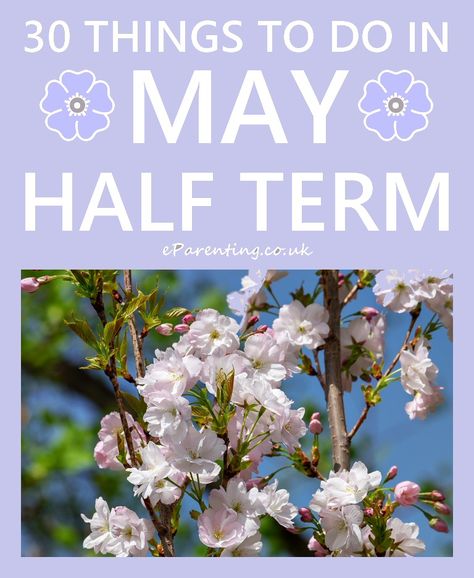 30+ Things to Do for May Half Term Functional Half-zip Tops For Outdoor Activities, Half Term Activities Children, Half Term Activities, Make Your Own Playdough, British Party, Cheap Hotel, Holiday Inspo, Amazing Home, Bank Holiday Weekend