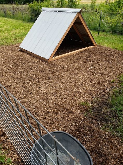 Simple Pig Pen Ideas, Mini Pig Enclosure Outdoor, Easy Goat House Diy, Pig Hut Ideas, Goat Hut Ideas, A Frame Goat House, Goat See Saw, Pig Farrowing House, Outdoor Pig Pen Ideas