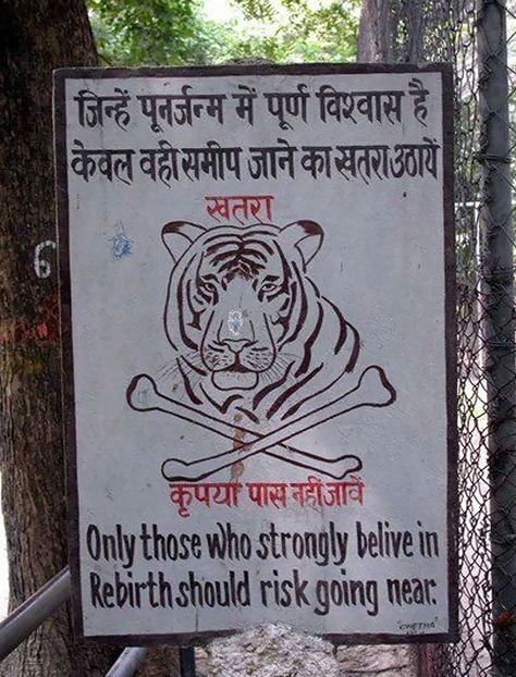 Meanwhile In India...Only those who believe in reincarnation should go near the tigers.  :D 47 Ronin, In Memes, Passive Aggressive, Funny Picture, After Life, English Phrases, Reasons To Smile, Know Nothing, Warning Signs