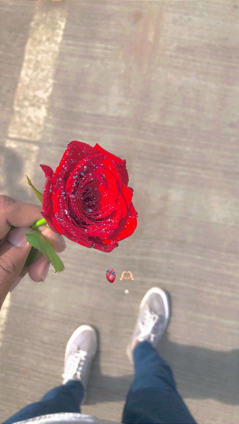 Rose In Hand Snapchat, Red Eyes Snapchat, Pretty Flowers Photography, Rose In Hand, Rose Pic, Indian Flag Wallpaper, Happy Birthday Png, Happy Navratri Images, Cool Optical Illusions