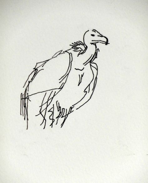 Bird Drawings Sketches, Vulture Drawing Sketches, How To Draw A Vulture, Vultures Drawings, One Line Animal Drawing, Vulture Tattoo Design, Vulture Sketch, Vulture Drawing, Vulture Illustration