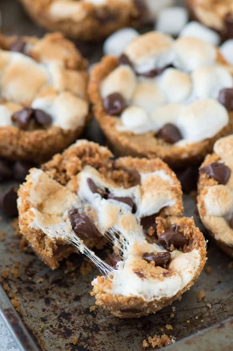 Smore Desserts, Muffin Tin Desserts, Smores Cups, Smores Bites, S Mores Cupcakes, S Mores Cookies, Smores Cupcakes, Tiramisu Dessert, Smores Cookies