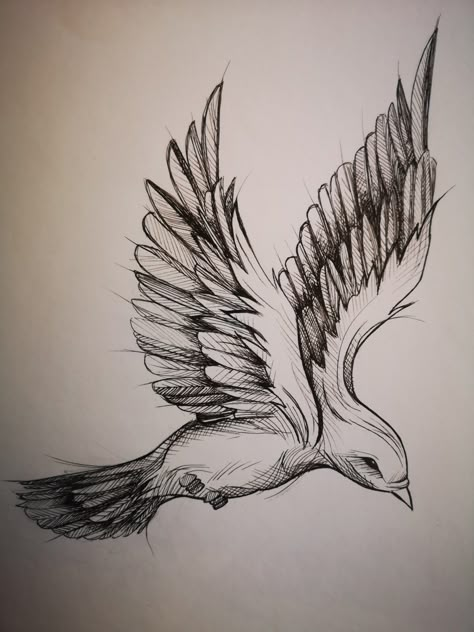 Dove Wings Drawing, Dove Sketch, Dove Sketches, Dove Drawing, Dove Wing, Fly Drawing, Wings Drawing, Spirit Gifts, Love Jesus