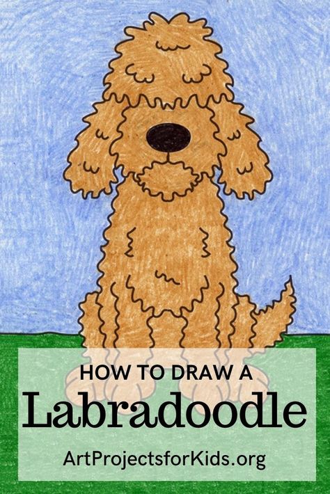 Learn how to draw a Labradoodle with an easy step-by-step PDF tutorial. #howtodraw #tutorial #drawing #drawingtutorial #arttutorial #artprojectsforkids #howtodrawforkids #labradoodle How To Draw A Doodle Dog, Labradoodle Painting Easy, Dog Drawing Tutorial Step By Step, Labradoodle Drawing, Labradoodle Art, Goldendoodle Art, Drawing Dogs, Dog Line Drawing, Labradoodle Dog