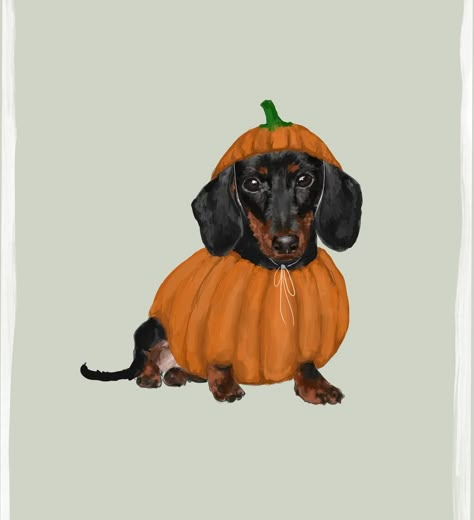 Another little Pupkin friend 🍂 . . . . . . #sausagedog #petportraits #petportraitartist #artistsoninstagram #dachshund #dachsundsofinstagram #dachshundpuppy #autumnillustration #autumnvibes #petsofinstagram #dogsofinstagram #dogillustration #dogportrait #art Halloween Sausage, Daschund Art, Arte Dachshund, Dachshund Painting, Costume Illustration, Dog Illustrations, Dachshund Art, Pet Portrait Painting, Pets Drawing