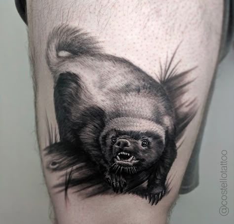 Honey Badger Tattoo, Badger Tattoo, Africa Tattoos, Honey Badger, Piercing Studio, Realism Tattoo, Tattoo Work, Arm Tattoos For Guys, Tattoo Models