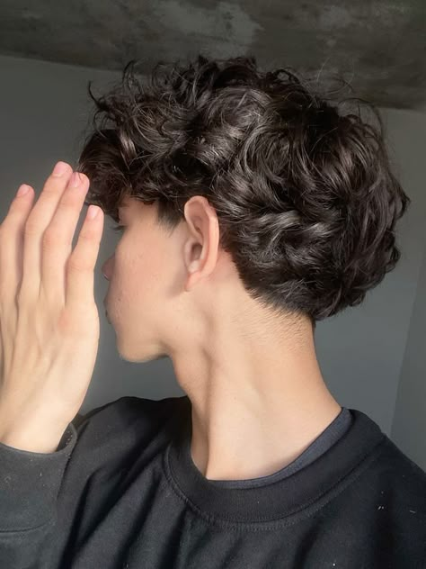 Wavy Curly Hair Cuts, Long Curly Hair Men, Men Fade Haircut Short, Fade Haircut Curly Hair, Low Taper Fade Haircut, Hair Cut Guide, Mens Haircuts Short Hair, Brown Hair Men, Black Wavy Hair