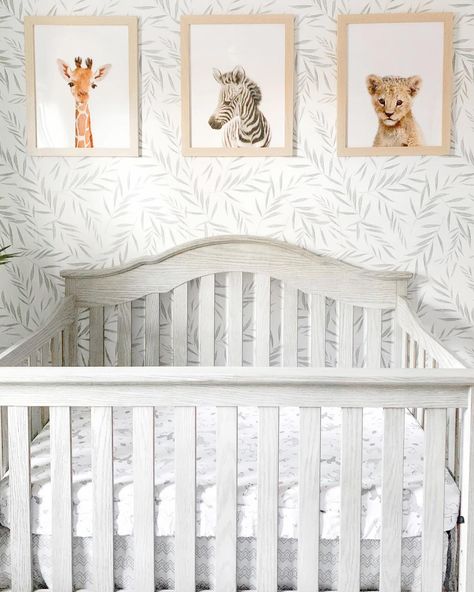 Botanical beauty🌿 This Light Green Botanical Foliage Wallpaper is soft and subtle, a long time fan favorite. Will it be a favorite of yours, too? Tap image for wallpaper details. #nursery #nurserydecor #nurserydesign #nurseryinspo #nurseryroom #baby #babysroomdecor #babysroomideas #babysroom #nesting #botanical #wallpaper #genderneutralnursery Safari Nursery Wallpaper, Mural Pattern, Foliage Wallpaper, Neutral Nurseries, Traditional Nursery, Ideas Habitaciones, Wallpaper Project, Nursery Room Design, Baby Room Inspiration