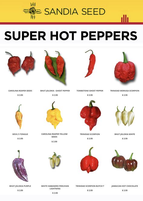 Did you know that the Hottest Pepper in 2018 and 2019 is the Carolina Reaper? Read more about it as well as the rumoured Dragon's Breath Pepper in our blog: Hot Pepper Chart, Fermented Hot Sauce Recipe, Types Of Peppers, Hot Pepper Seeds, Hot Sauce Recipes, Carolina Reaper, Hot Peppers, Hottest Chili Pepper, Pepper Seeds