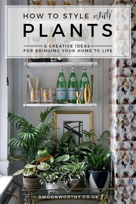 Plant Staging Indoors, Indoor Plant Grouping Ideas, Shelf Styling With Plants, Grouping Plants Together Indoors, Styling House Plants, How To Style Plants Indoors, Plant Styling Ideas, Decorate With Plants Indoors, Decorating With Plants Indoors