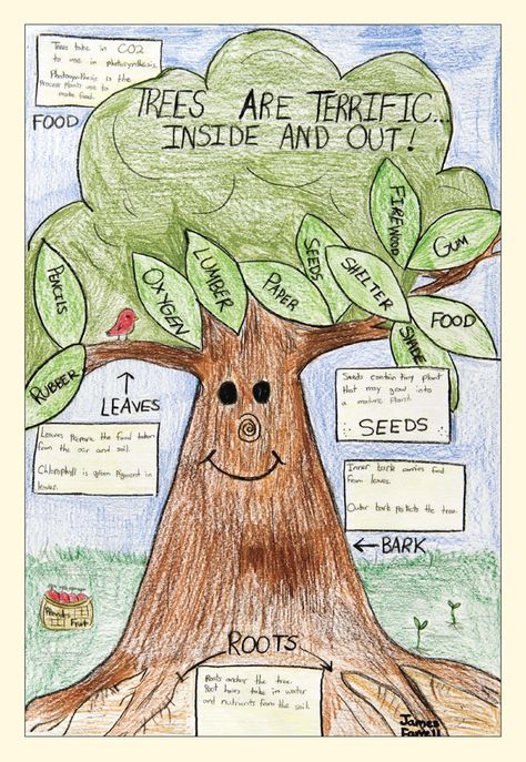 2008 Winning Arbor Day Poster by James Farrell - NYS Dept. of Environmental Conservation Ideas Of Things To Draw, Arbor Day Poster, Save Water Poster Drawing, Contest Poster, Importance Of Trees, Earth Day Posters, Tree Project, Earth Poster, Arbor Day