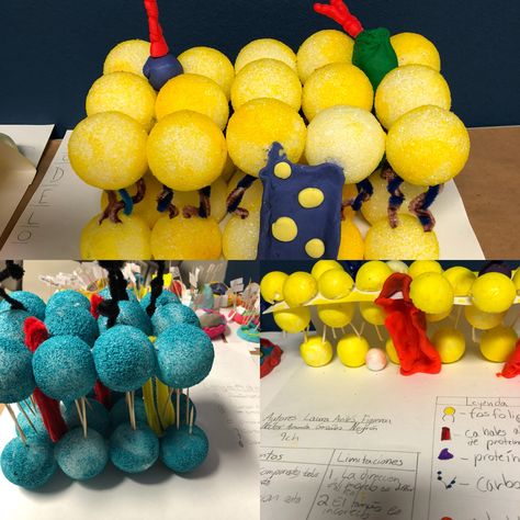 Cell Membrane Model Projects, Science Models, Biology Projects, Plasma Membrane, Cell Membrane, School Motivation, Science For Kids, Biology, Krishna