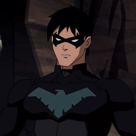 Nightwing Young Justice, Nighwing, Wings Icon, Robin Dc, Dc Icons, Marvel Superhero, 100 Followers, The Batman, Detective Comics