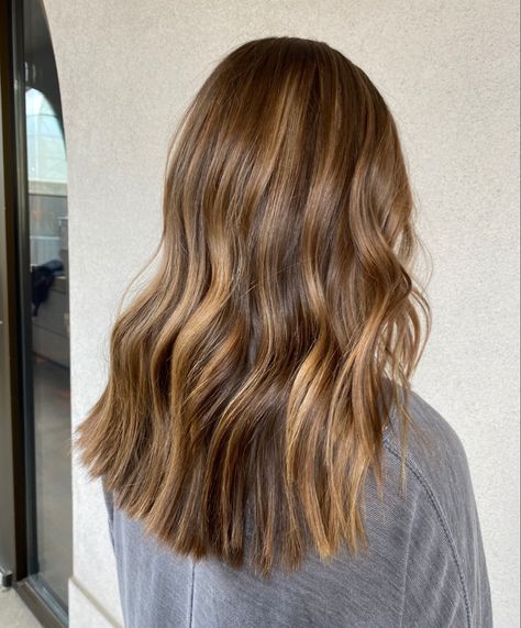 Medium Length Honey Brown Hair, Honey Brown Hair Ombre, Caramel Balayage Light Brown Hair, Light Brown Golden Hair, Light Brown Hair Warm Tone, Mid Length Light Brown Hair, Caramel Balayage On Light Brown Hair, Warm Light Brown Balayage, Honey Highlights On Light Brown Hair