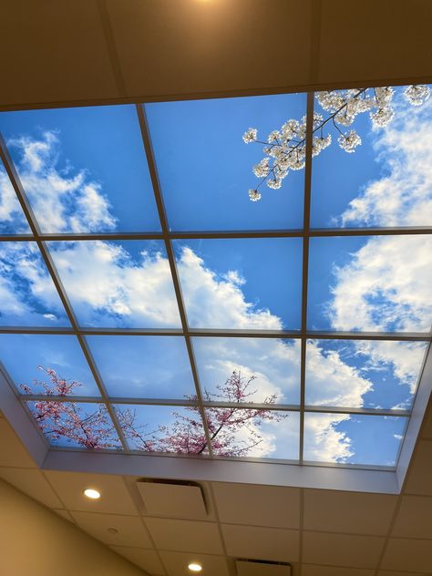 Transparent Ceiling Design, Spa Ceiling Design, Acrylic Ceiling Design, Blue Sky Ceiling, Transparent Ceiling, Bathroom Ceilings, Healthcare Interior Design, Sky Ceiling, Dental Office Design Interiors