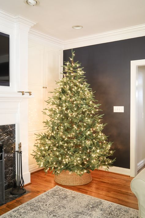 Twig Christmas Tree, Best Artificial Christmas Trees, Frasier Fir, Fake Christmas Trees, Faux Christmas, Artificial Christmas Trees, Christmas Vibe, Christmas Decoration Ideas, Real Christmas Tree