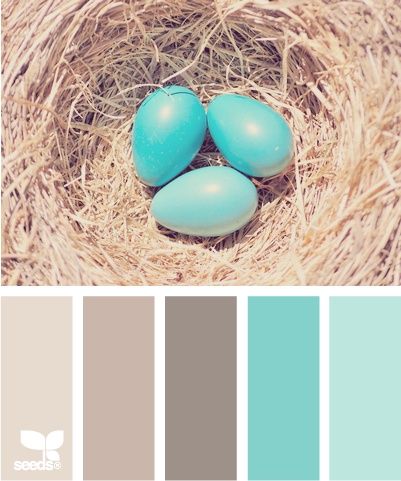 Bathroom Colors Blue, Design Seed, Paint Inspiration, Design Seeds, Exterior Paint Colors, Gray Design, The Nest, Robins Egg, Bathroom Colors