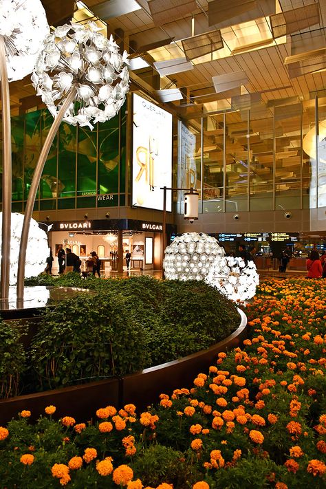 Singapore Changi Airport Terminal 3 Departure Singapore Airport Snapchat, Changi Airport Aesthetic, Singapore Airport Aesthetic, Botanical Museum, Singapore Airport, Jewel Changi Airport, Airport Terminal 3, Singapore Things To Do, Changi Airport Singapore