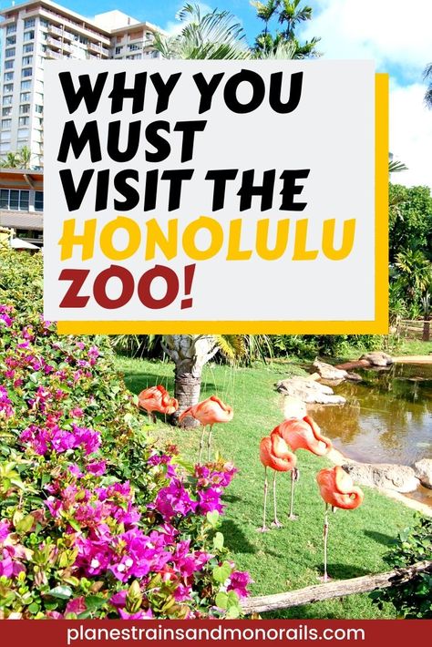 For an unexpected fun and family friendly activity during your next vacation to Hawaii, visit the Honolulu Zoo.  You'll be glad you did and so will your kids. Honolulu Hawaii Beach, Honolulu Hawaii Vacation, Visiting Honolulu, Honolulu Vacation, Hawaii Kids, Hawaii Family Vacation, Honolulu Zoo, Hawaii Vacation Tips, Hawaii Trip Planning