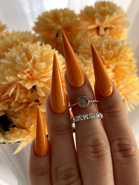 Fall Nails Stiletto Almond, Stiletto Nails Autumn, Orange Chrome Nails Fall, Orange Stiletto Nails, Fall Stiletto Nails, Acrylic Nails Stiletto, Stilleto Nails Designs, Glitter Photography, Sharp Nails