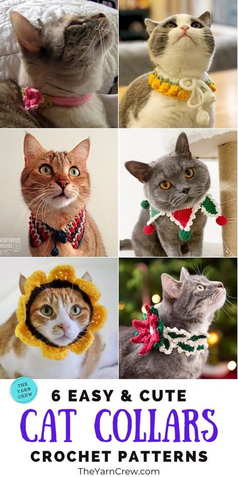 6 Easy Crochet Cat Collar Patterns. These Easiest Crochet Cat Collar Patterns are curated by The Yarn Crew. Cat Collars Diy, Crochet Cat Collar, Cat Sweater Pattern, Collar Patterns, Easiest Crochet, Cat Hat Pattern, Dog Collar Pattern, Easy Crochet Flower, Crochet Pet