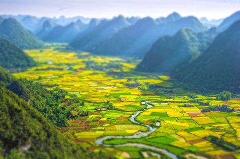 Download hd wallpapers of 212789-landscape, Nature, Africa, Tilt Shift, Field, River, Hill, Rwanda. Free download High Quality and Widescreen Resolutions D Swiss Nature Wallpaper, India Rivers Map Full Hd, Rwanda Landscape, Rivers In India, River Wallpaper Nature, Vietnam Voyage, Halong Bay, Lombok, Alam Yang Indah