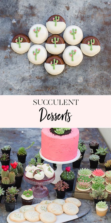 Succulent Desserts, Buttercream Cactus, Cookie Pies, Succulent Theme, Mothers Day Desserts, Succulent Cake, Jenny Cookies, Easy Gluten Free Desserts, Comfort Desserts