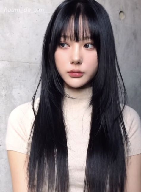 Hime Haircut Bangs, Long Black Hair With Bangs Korean, Himecut Long Hair, Hime Cut Straight Hair, Hime Haircut Without Bangs, Hime Cut With Wispy Bangs, Japanese Bangstyle Hair, Hime Layer Hairstyle, Soft Hime Haircut