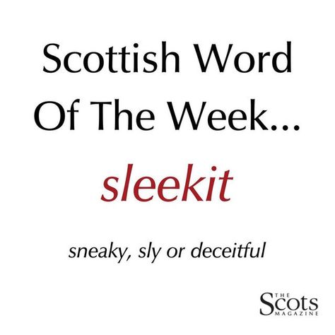 The Scots Magazine on Instagram: "With Burns Night around the corner, this week's #ScottishWordOfTheWeek is sleekit! Famously used in the poem 'To A Mouse', the word sleekit is generally used to descirbe someone as sneaky or cunning. Pronounced 'slee-kit'. #scotsmagazine #scotslangauge" Scottish Word Of The Week, Scots Language, Scottish Phrases, Scottish Words, Word Of The Week, Unique Words Definitions, Burns Night, Uncommon Words, Word Nerd