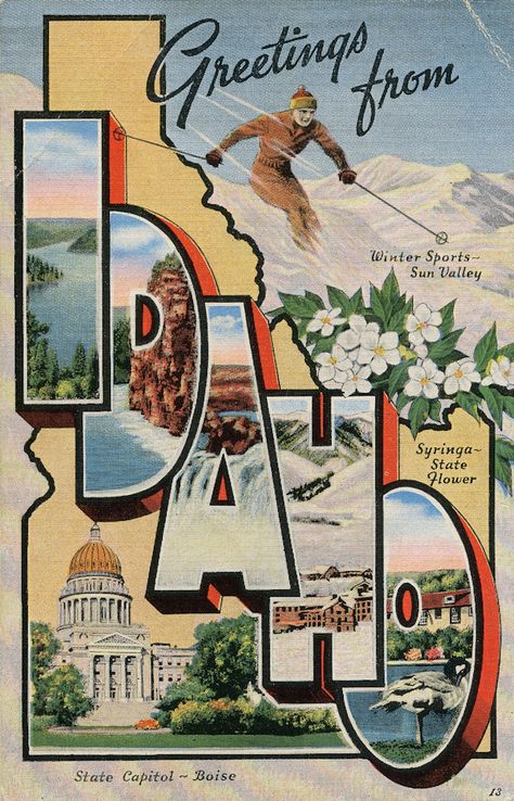 Greetings from Idaho - Large Letter Postcard Postcard Font, Vintage Postcards Travel, Travel Postcard, Hippie Home Decor, Poster Design Inspiration, Travel Stickers, Vintage Hippie, News Agency, Postcard Design