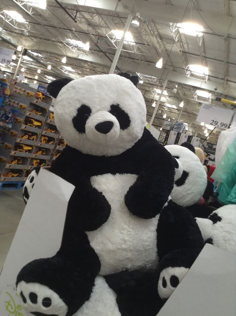 Life size panda bear... someone needs to get me one of these. I WANT IT> Panda Plushie Aesthetic, Panda Teddy, Panda Teddy Bear, Cute Panda Stuff Toy, Big Panda, Giant Stuffed Animals, Panda Plush, Big Panda Teddy Bear, Big Teddy Bear