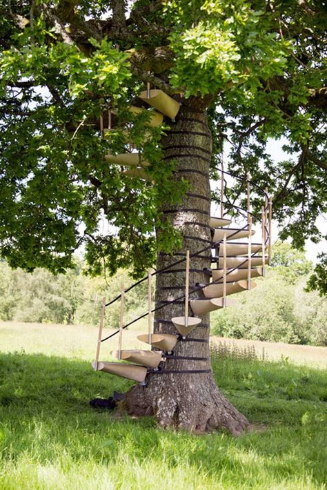 Spiral treehouse steps that don't hurt the tree  "Strap this spiral staircase onto any tree, no tools needed : TreeHugger" Tree House Playground, Tree Fort, Tree House Diy, Cool Tree Houses, Tree House Designs, Climb Trees, Bamboo House, Tree Canopy, Art Students