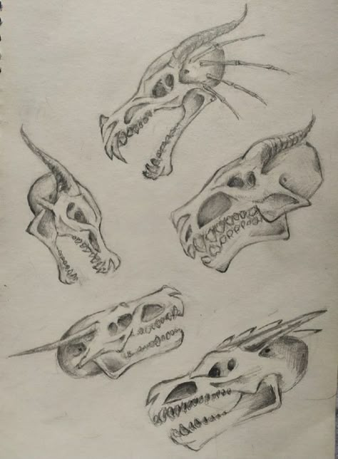 Skeletal Dragon Art, Dragon Skull Sketch, Dragon Skull Drawing, Sketch Learning, Dragon Sketches, Dragon Reference, Drawing Dragons, Dead Dragon, Bone Drawing