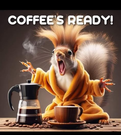 Morning Coffee Funny, Good Morning Animals, Coffee Pics, Coffee Quotes Funny, Funny Day Quotes, Funny Coffee Quotes, Good Morning Funny Pictures, Squirrel Funny, Morning Sunshine Quotes