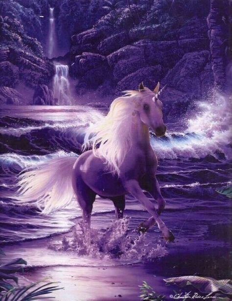 , Horse With Wings, Pet Anime, Unicorn Artwork, Creature Fantasy, Unicorn And Fairies, Pegasus Unicorn, Unicorn Tattoos, Unicorn Pictures, Fantasy Horses