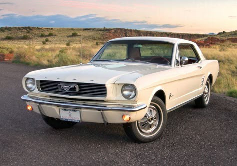 Old Ford Mustang, Burgundy Interior, 1966 Mustang, 65 Mustang, 1965 Mustang, Old Vintage Cars, 1966 Ford Mustang, Classic Mustang, Ford Lincoln Mercury