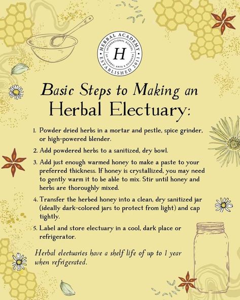 Medicinal Herbs Remedies, Herbal Witch, Herbal Education, Medicinal Herbs Garden, Holistic Recipes, Magia Das Ervas, Medical Herbs, Healing Tea, Herbal Teas Recipes