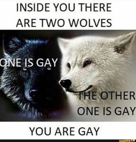 INSIDE YOU THERE ARE TWO WOLVES YOU ARE GAY – popular memes on the site iFunny.co Wolf Meme, Two Wolves, Gay Memes, Memes Of The Day, Meme Template, Know Your Meme, Best Funny Pictures, Animal Memes, Best Memes