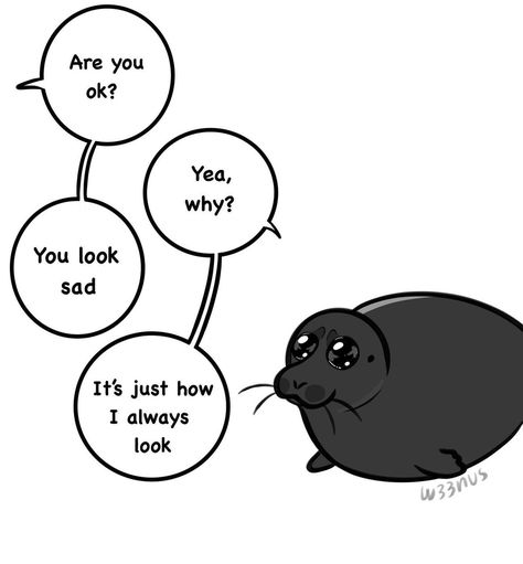 Cute Seals Drawing, Seals Drawing, Seal Oc, Seals Cute, Happy Cat Gif, Discord Status, Funny Seals, Silly Animal Pictures, Status Funny