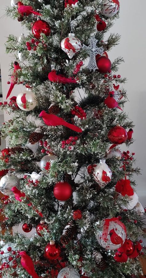 Anything Cardinals | Partial picture of my Christmas tree | Facebook Cardinal Christmas Tree, Cardinal Christmas, 2024 Christmas, Red Bird, Beautiful Christmas Trees, Bird Tree, Navidad Christmas, White Christmas Tree, Grinch Christmas