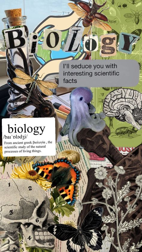 #biology #major #school #subject #teacher #studying #student #science #butterfly #moth #skeleton #skeletons #fyppppppppppppppppppppppppppppppppppppppppppppppppppppppppp #fypshuffle #aestehtic #pretty #definitions Aesthetic Biology Pictures, Pretty Definitions, Biology Major Aesthetic, Biology Student Aesthetic, Moth Skeleton, Biology Pictures, Aesthetic Biology, Bio Inspiration, Major Aesthetic