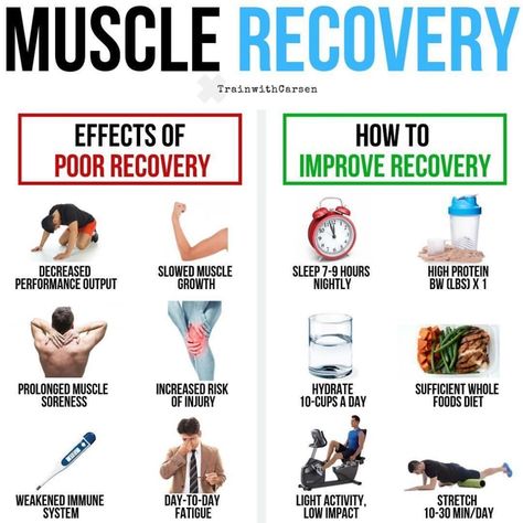 Muscle Recovery by @trainwithcarsen x @deskboundtherapy⁣ ⁣ 💥Download FREE Workouts by following the link in BIO💥⁣ ⁣ Hitting the weights is… Recovery Workout, After Workout, The Other Half, Muscle Building, Gym Workout For Beginners, Muscle Recovery, Other Half, Gym Workout Tips, In The Gym