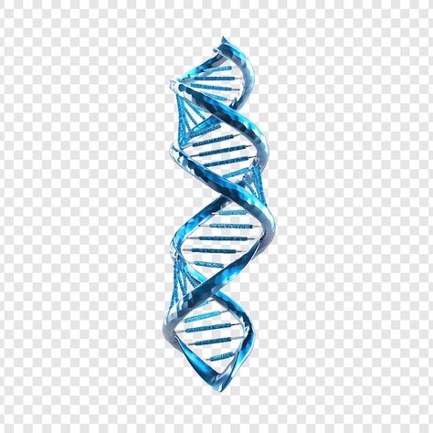 Free PSD 3d blue dna helix sequence elem... | Free Psd #Freepik #freepsd #blue #structure #life #spiral Structure Life, Life Spiral, Dna Structure, Dna Helix, Psd Icon, Genetic, Free Psd, Vector Photo, Helix