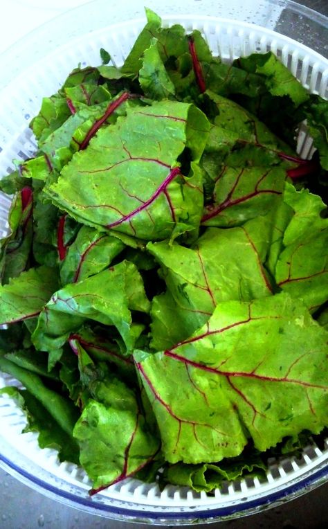 The Trim Tart: How to wash and cook Beet Greens (Sauteed Beet Green recipe) Beet Green Recipes, Sauteed Beet Greens, Csa Recipes, Beet Recipes, Beet Greens, Veggie Side Dishes, Garden Recipes, Vegetable Sides, Greens Recipe