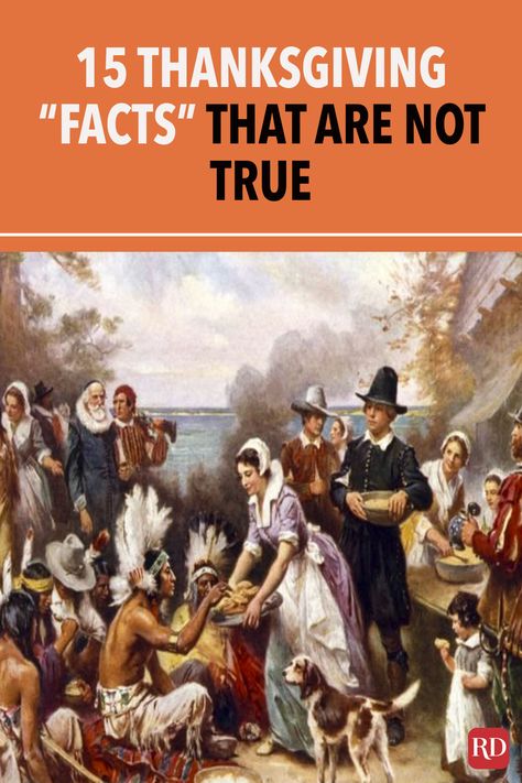 Thanksgiving History Facts, Thanksgiving Meaning, History Of Thanksgiving, The First Thanksgiving, Thanksgiving History, Thanksgiving Facts, Thanksgiving Stories, Thanksgiving Books, Feast Of Tabernacles