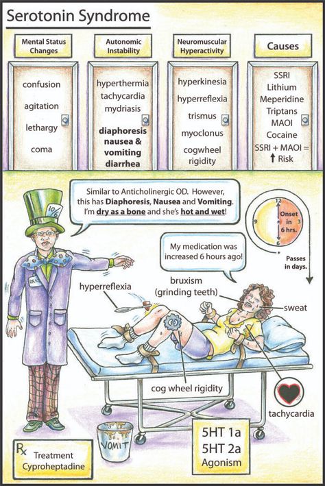 Video Flashcard: Serotonin Syndrome – Kloss & Bruce Paramedic Science, Mbbs Study, Serotonin Syndrome, Nursing Information, Psych Nurse, Psychiatric Medications, Nursing Mnemonics, Mental Health Nursing, Pharmacology Nursing