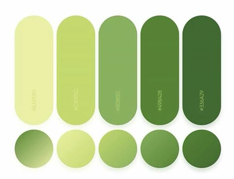 Green Gradient Palette, Atv Beach, Style Tips And Tricks, Yellow Bathing Suit, Flat Color Palette, Horse Back Riding, Black Crocs, Color Design Inspiration, Hex Color Palette