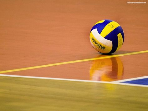 Volleyball Facts, Volleyball Wallpapers, Volleyball Images, About Volleyball, Volleyball Backgrounds, Volleyball Wallpaper, Indoor Volleyball, Volleyball Poses, Volleyball Games