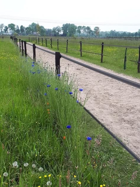 Horse Track System, Custom Horse Stalls, Paddock Trail, Horse Farm Ideas, Horse Paddock, Horse Barn Ideas Stables, Paddock Paradise, Horse Arena, Horse Shelter